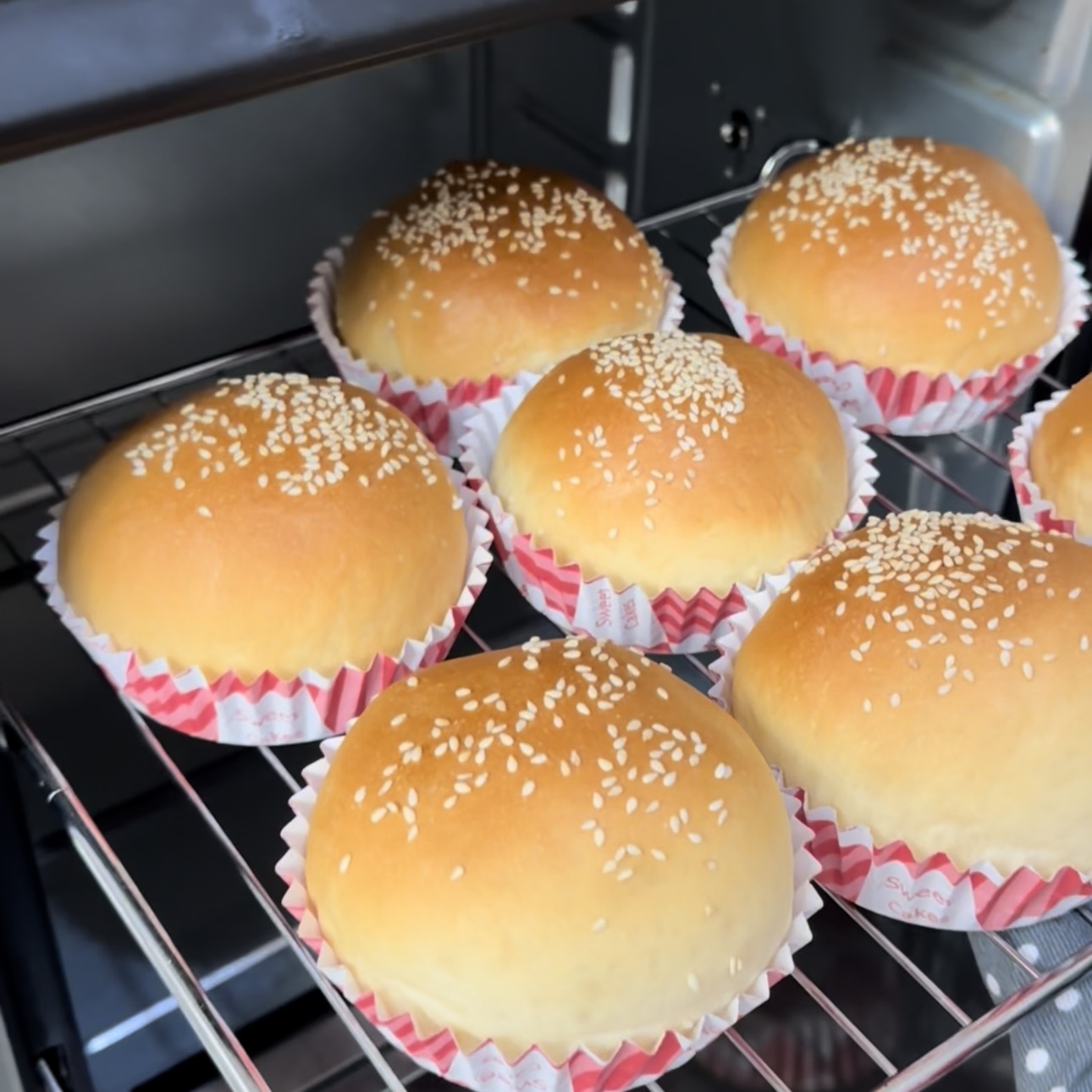 Burger Buns / Roti Burger